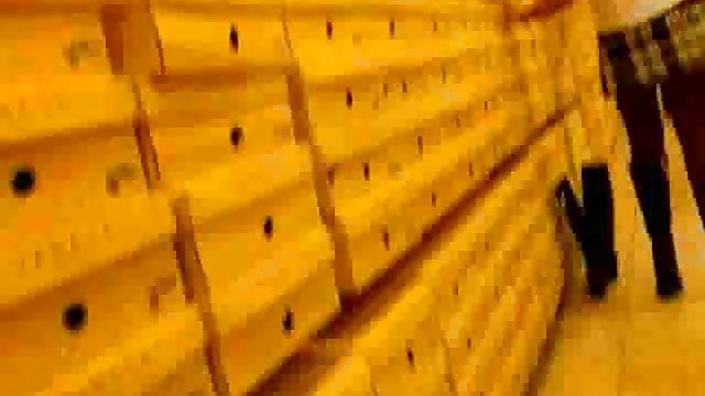 لزبی ها تصمیم گرفتند خواسته های یکدیگر را برآورده کنند فیلم سکسی خارجی دانلود